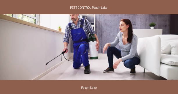 PEST CONTROL Peach Lake